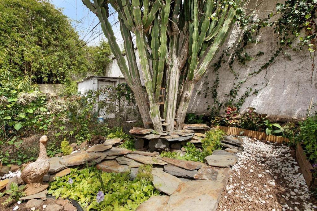 فيلا Casa Con Jardin تاكورونتي المظهر الخارجي الصورة